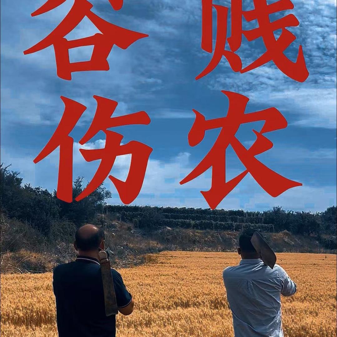 大泽山 王坤懂