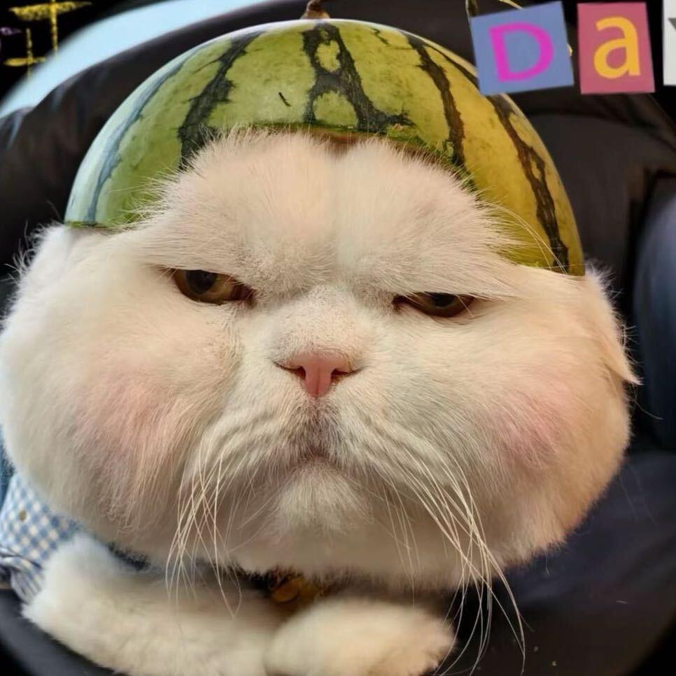 惈