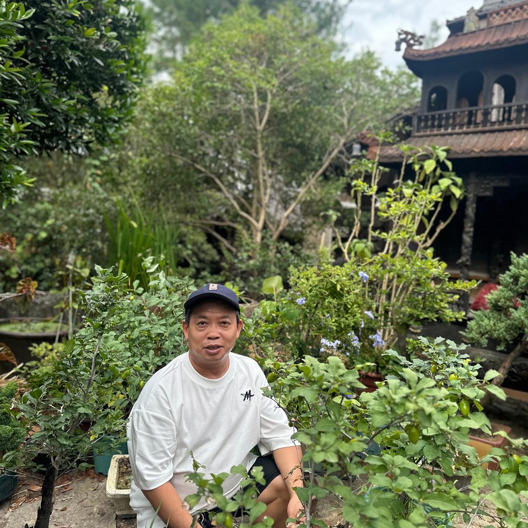 新有晚上8.50开.