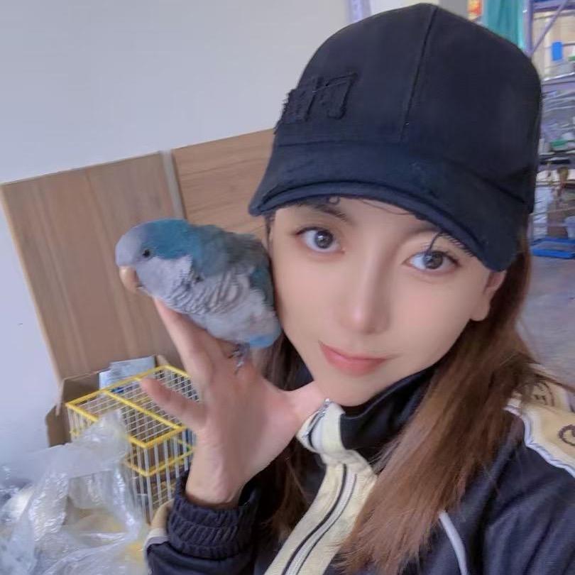 阿楠手养鹦鹉
