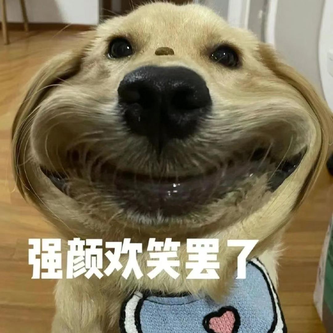 幸以的小橙子🍊