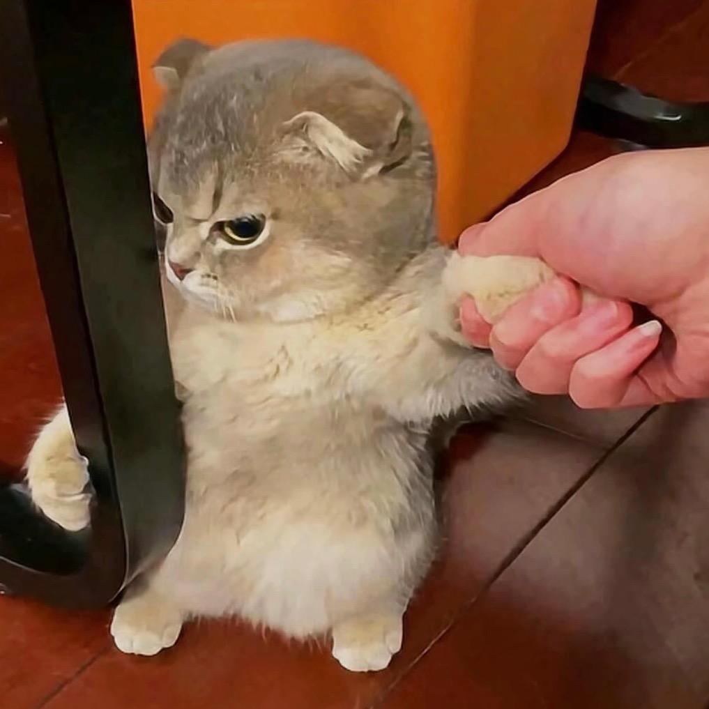 TA