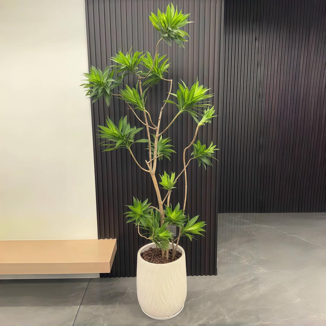 老班长园艺花卉种植