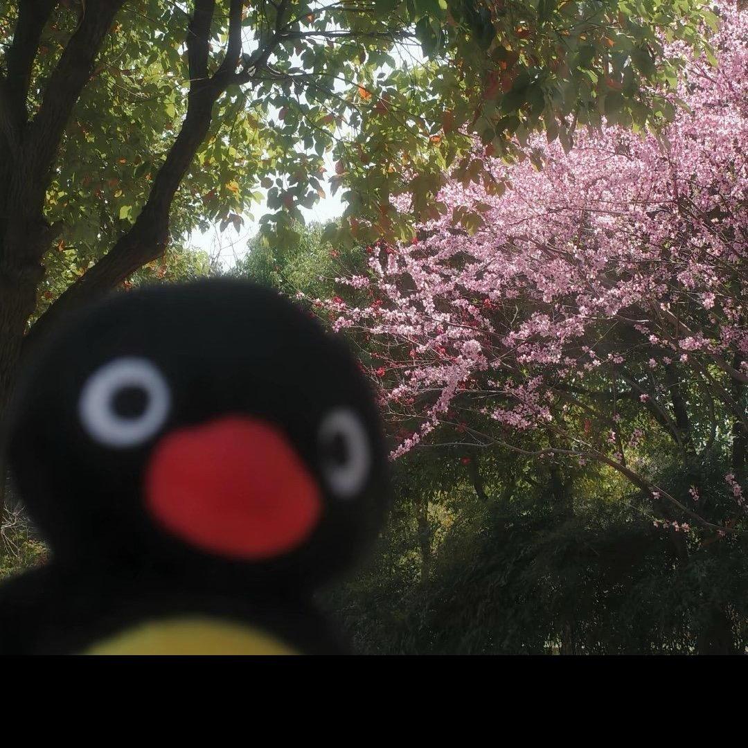 Kurokawa