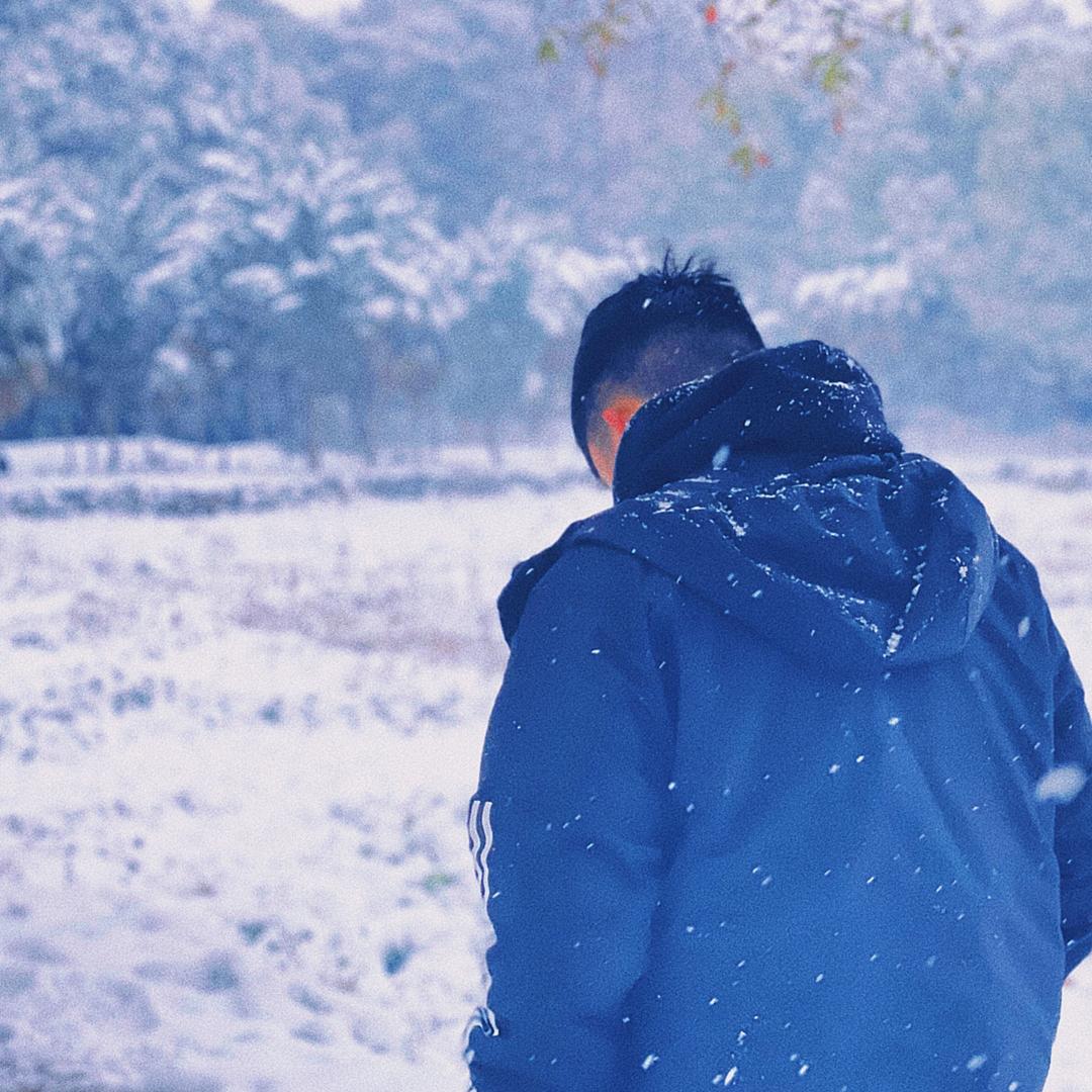 康康鳄