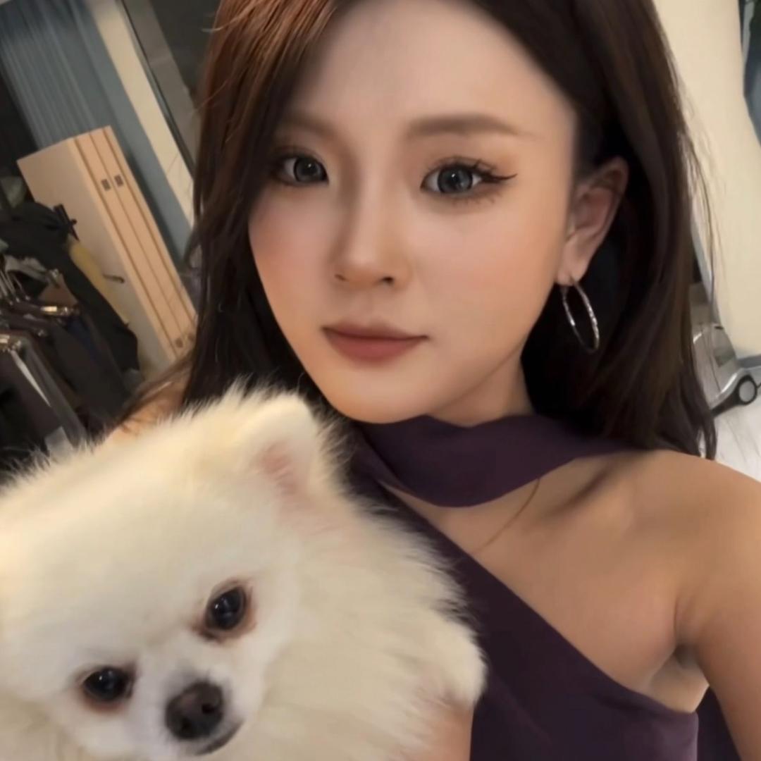 这里ZHE LI