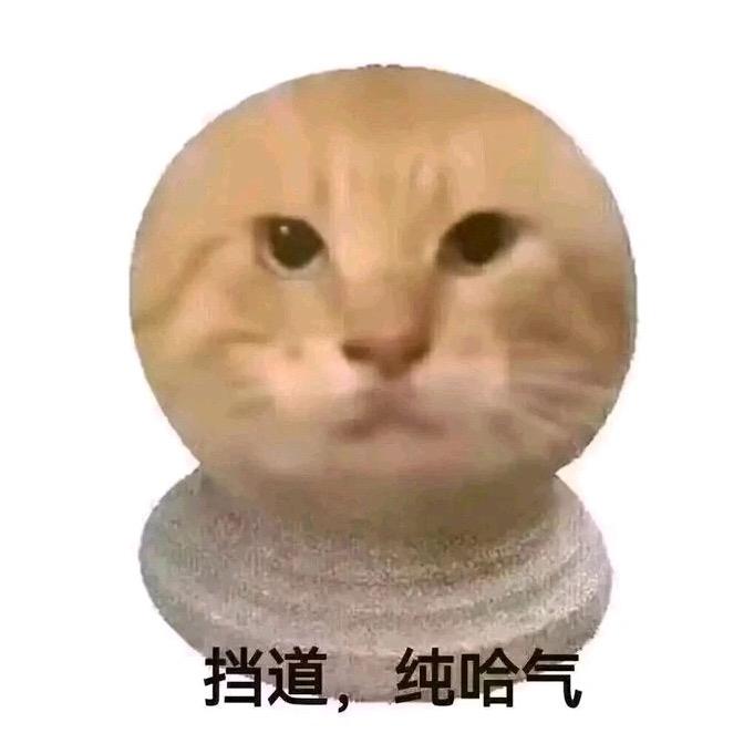 风吹一万遍还是风