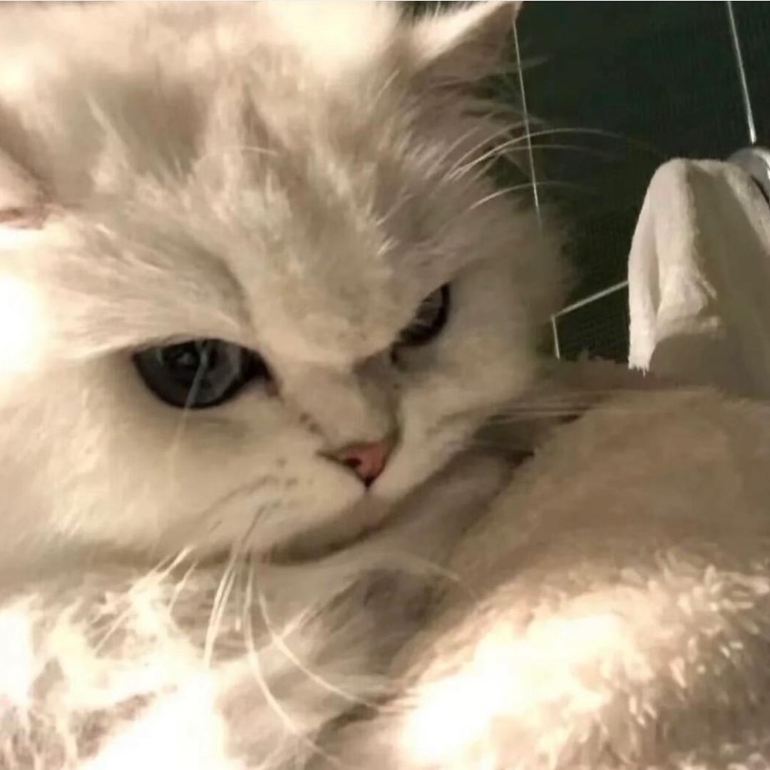 ㅤㅤㅤ