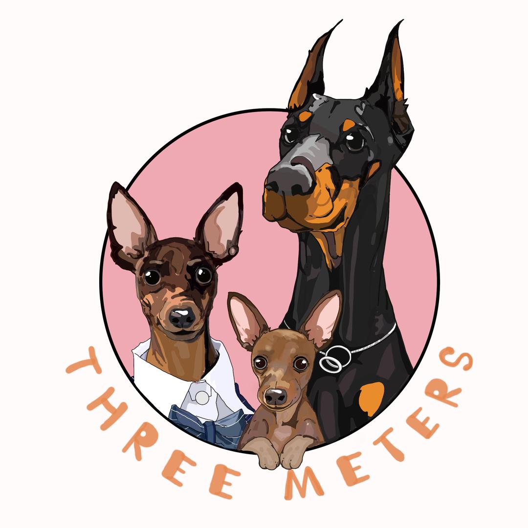 三米的宠物玩具