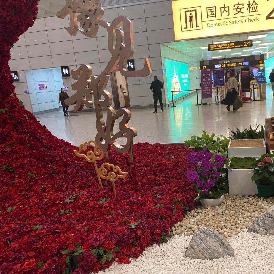 小竹笋