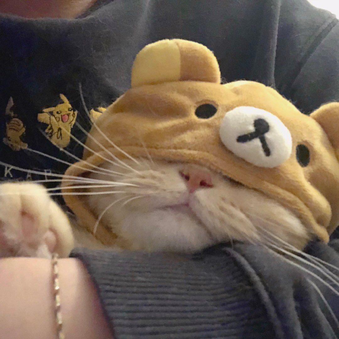 喂、