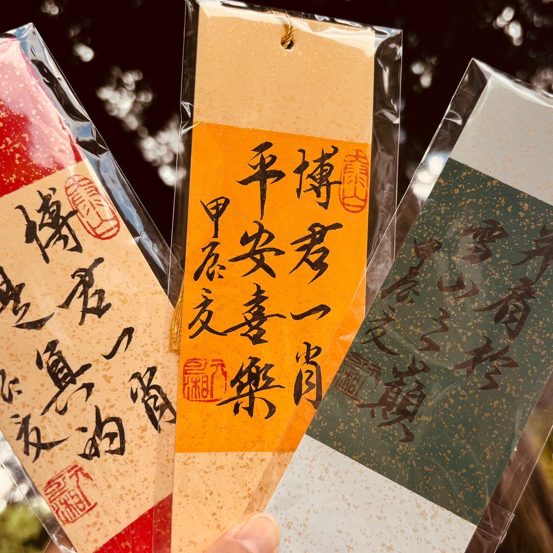 战战和他的85号骑士