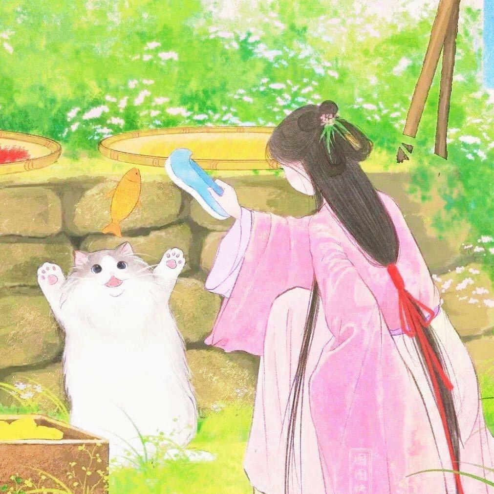 不会释怀📸