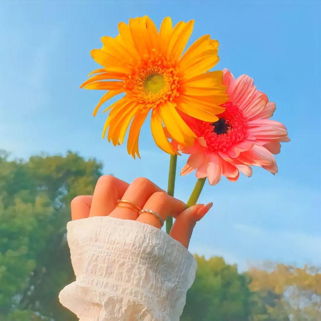 🥰浅笑吖🌸