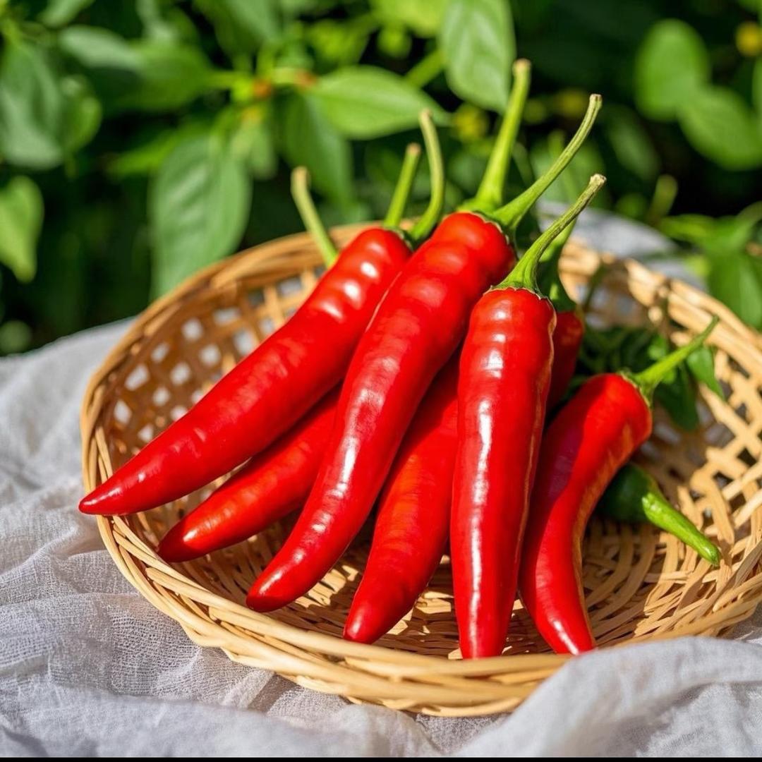 产地小米辣直供