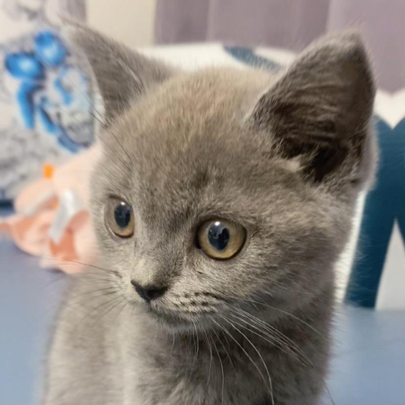 牟小琳的一家@抖音