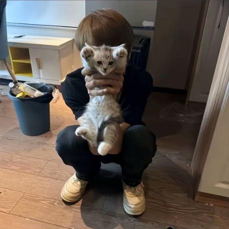 把我踢出去了！