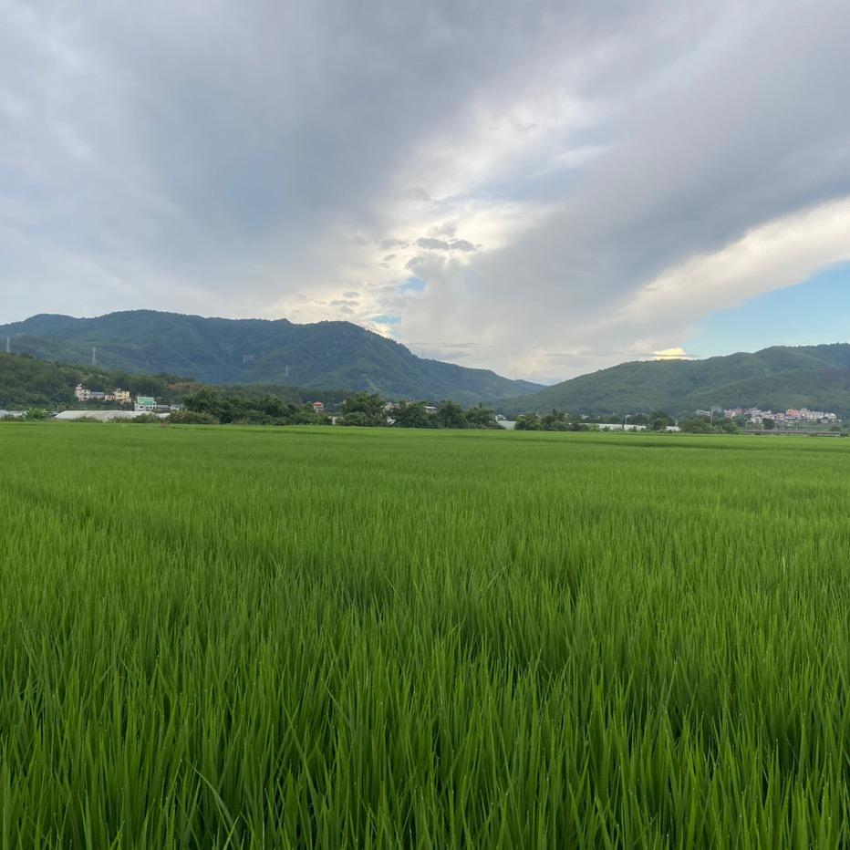 等待