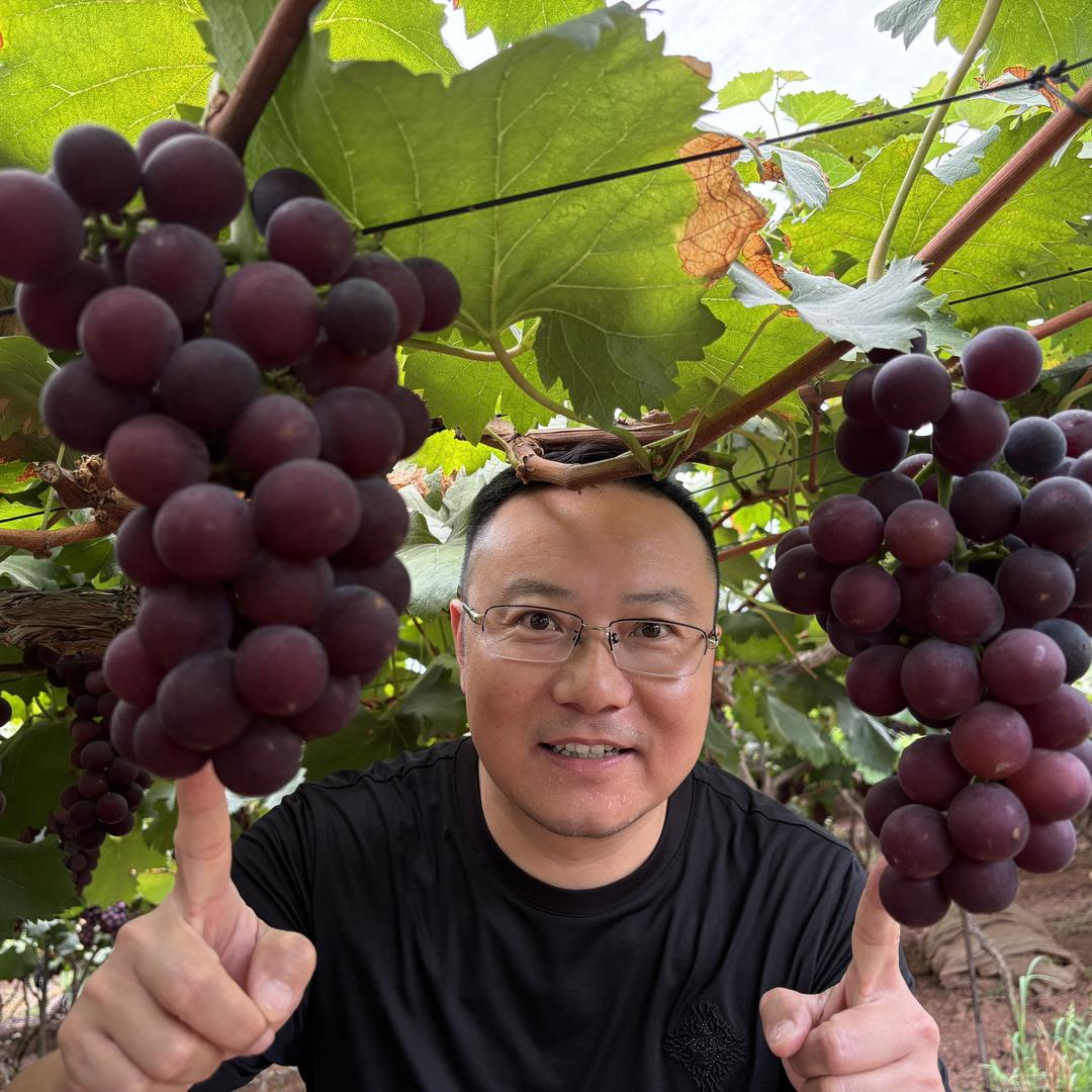 稼鄉俚生鲜特产