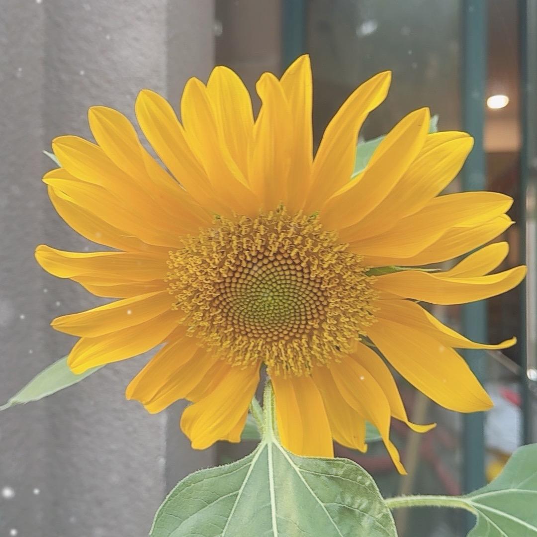 弘扬水电安装，保利管