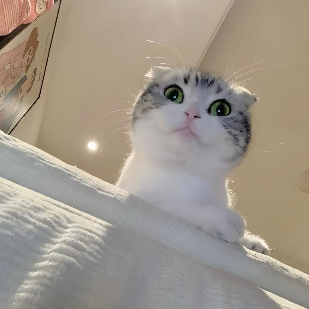 还期待