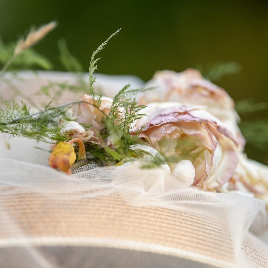 ໊Sɪʟᴇɴᴛོ.✨