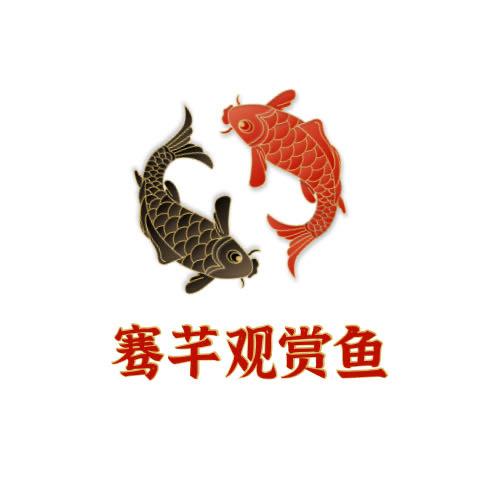 骞芊观赏鱼