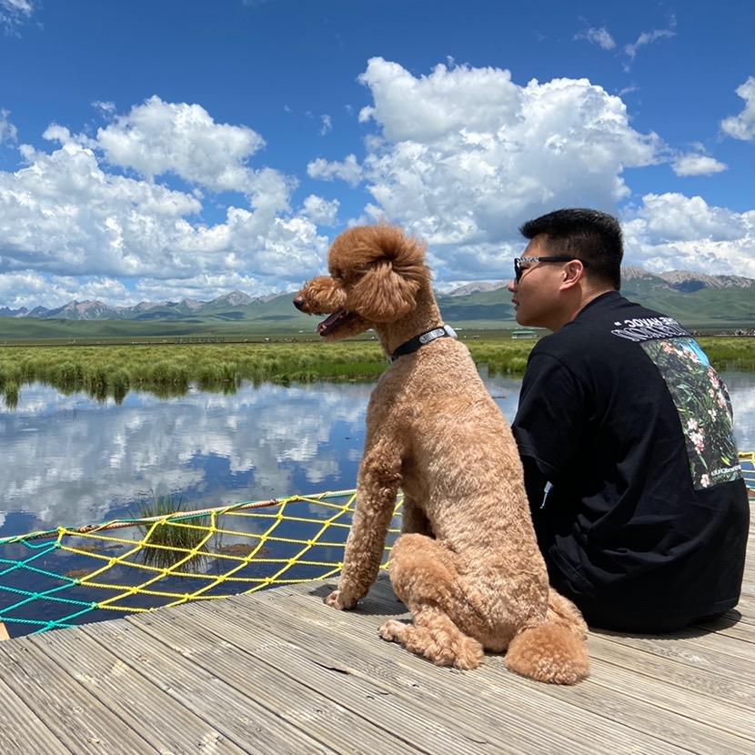 开吉普的贝塔