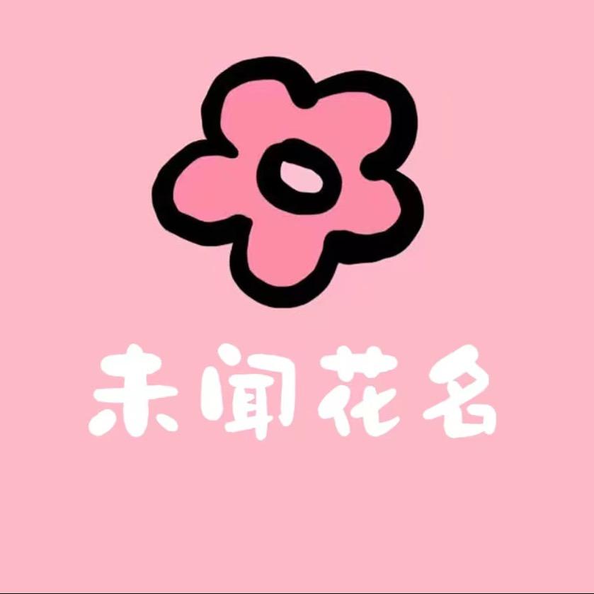 未闻花名·鲜花店