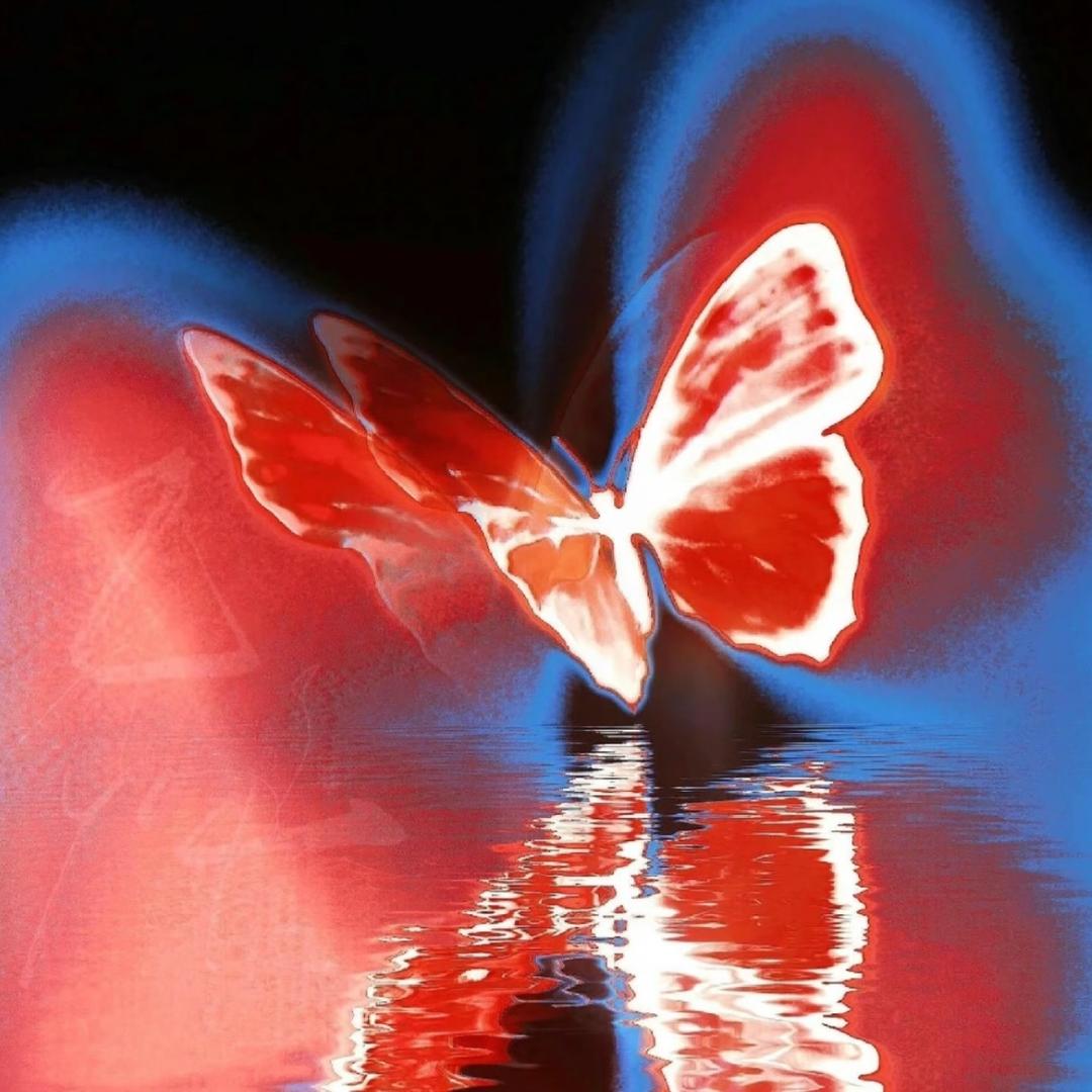 芋圆小葡萄