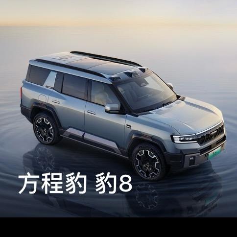 小猪的方程豹8
