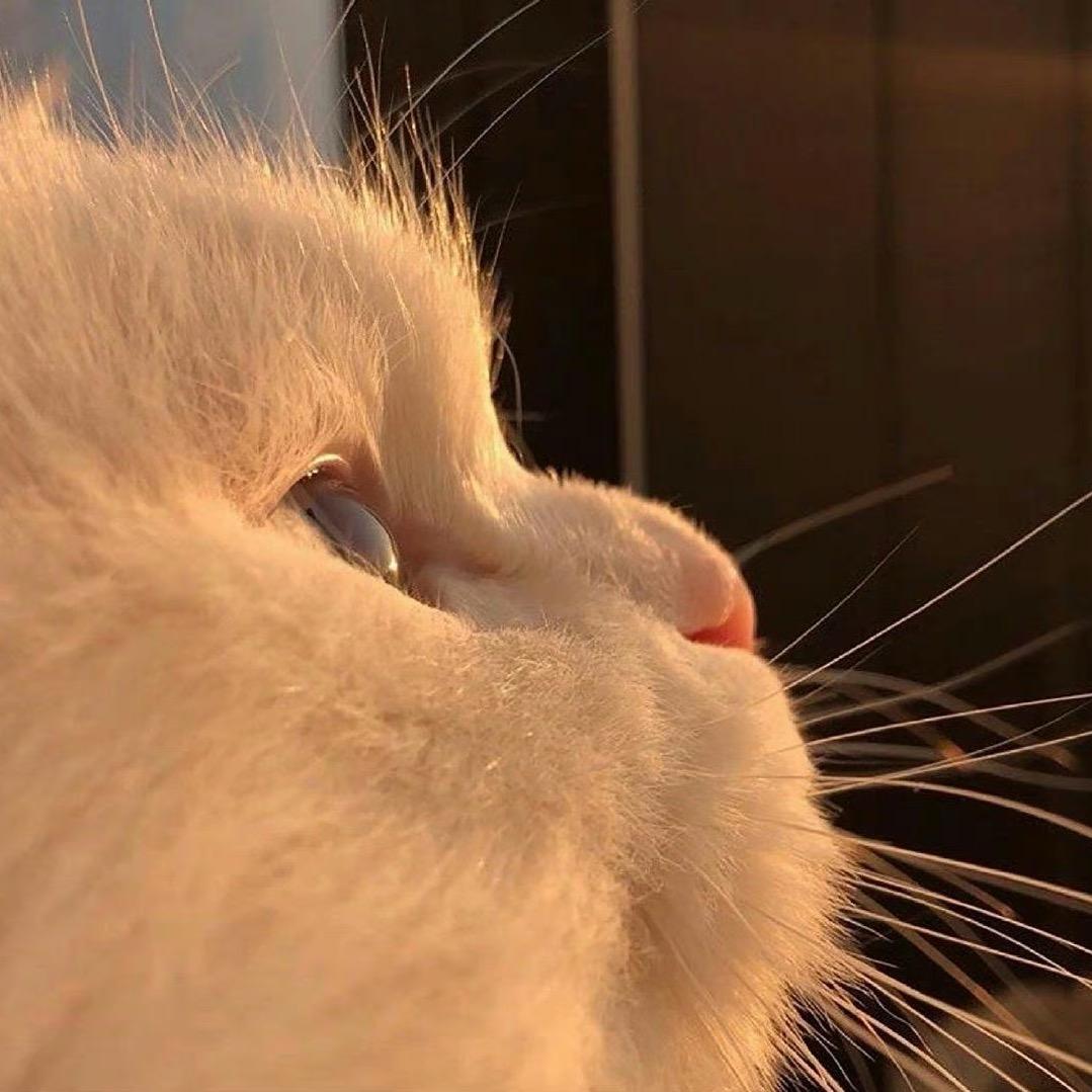 小瓶子