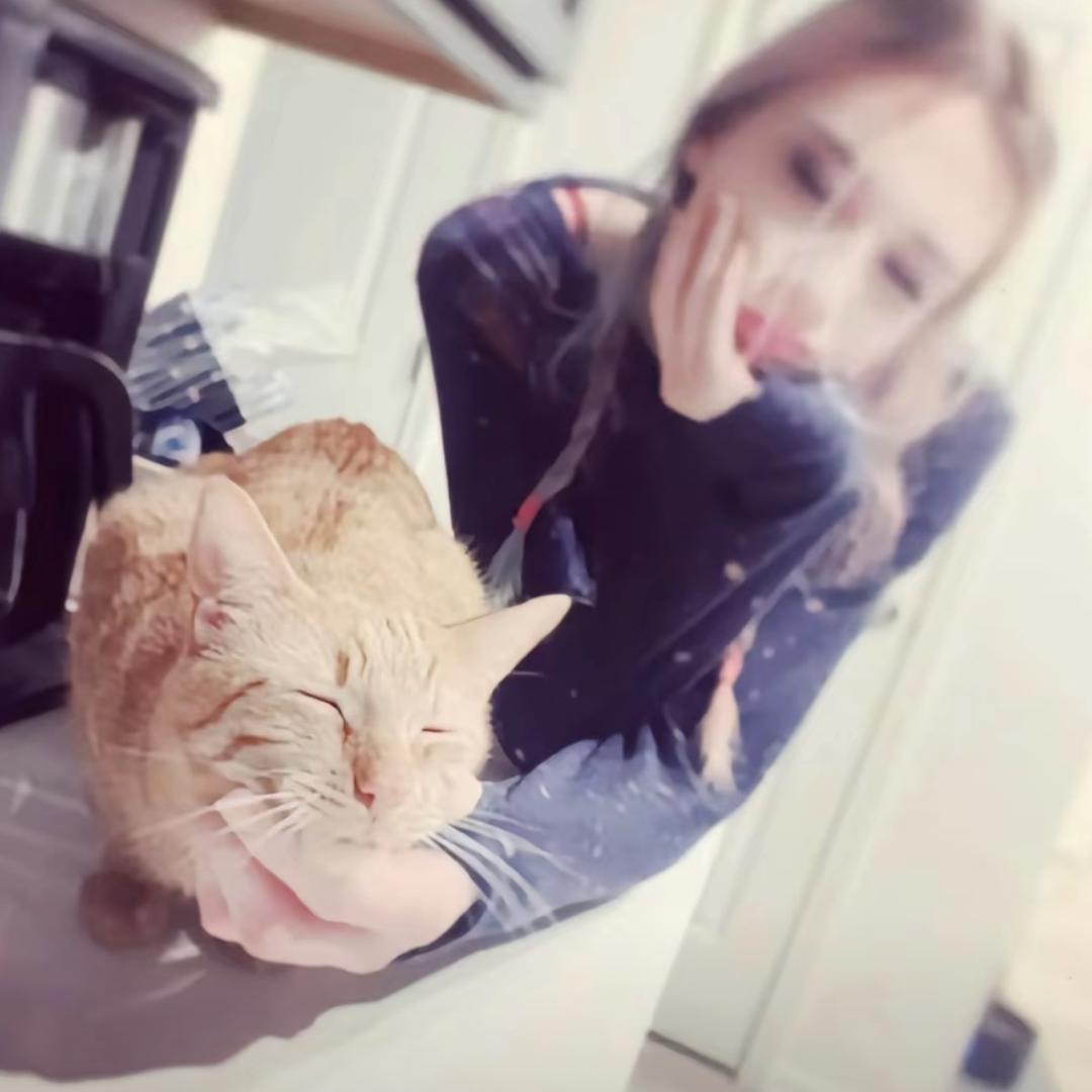 洁