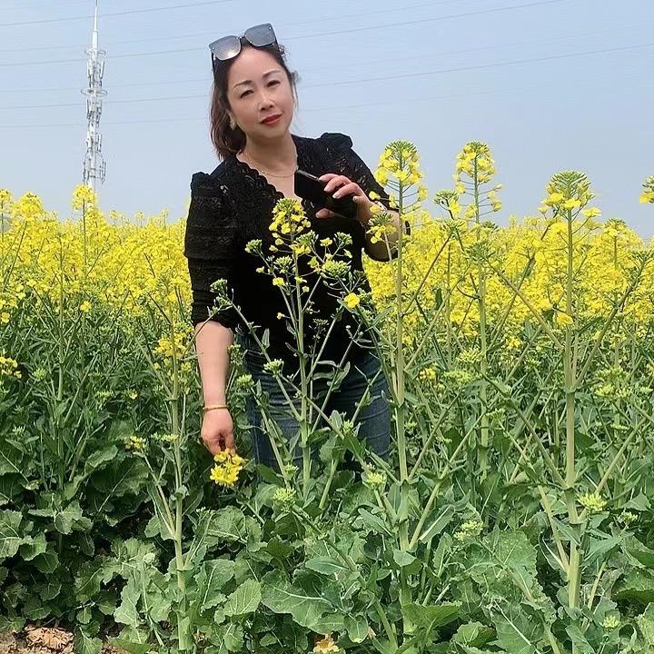 雾里探花