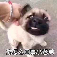 活在梦里头像