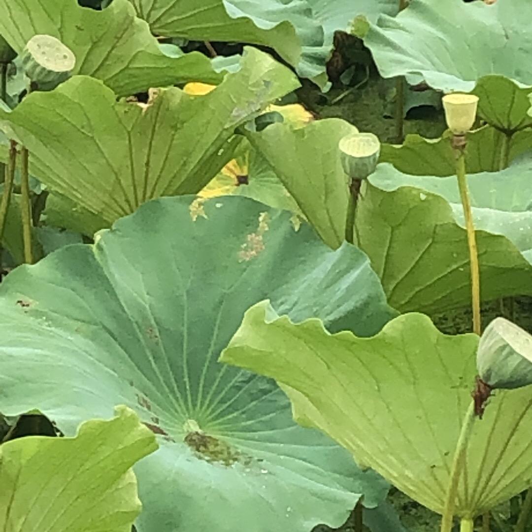 风驰