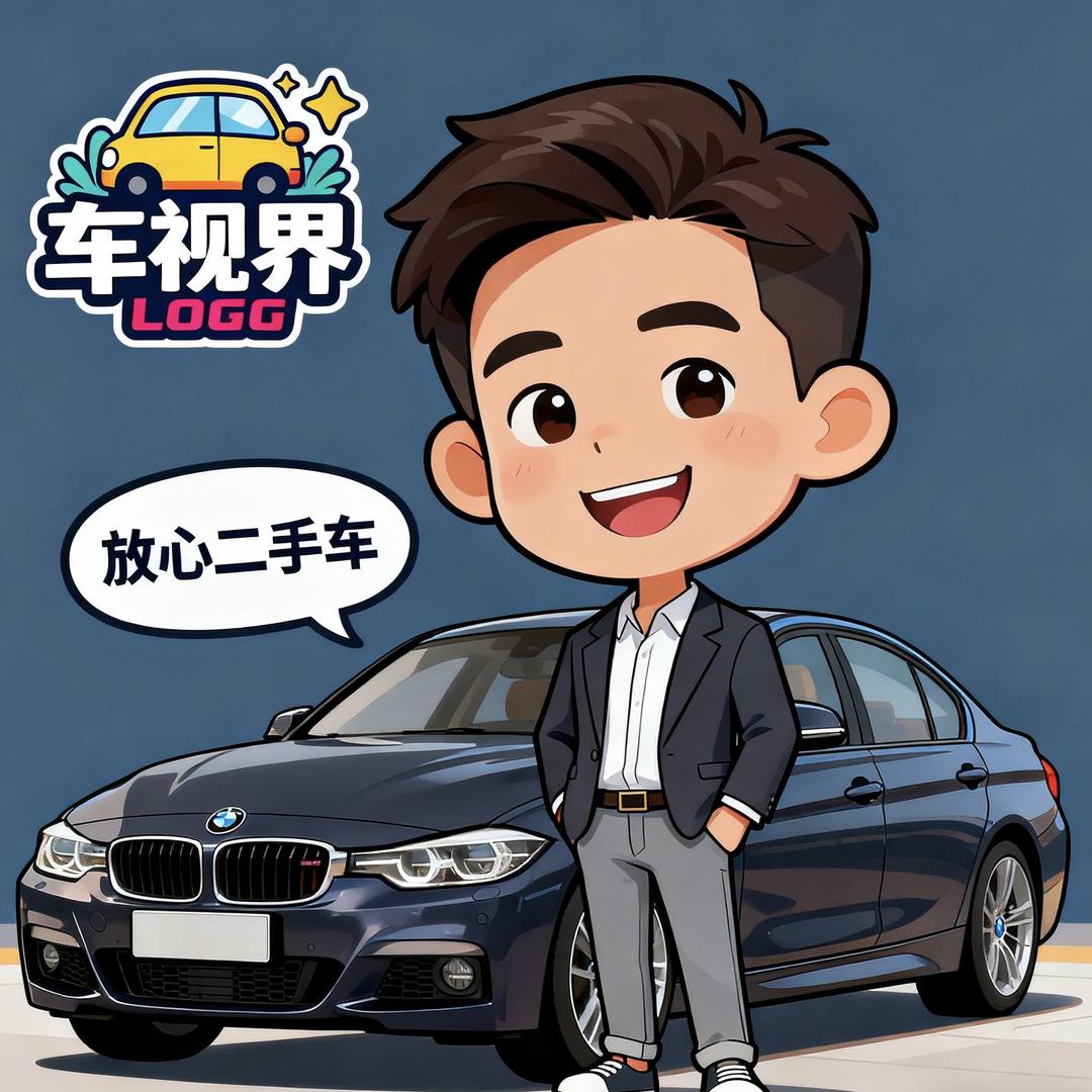 车视界张乐-二手车直供