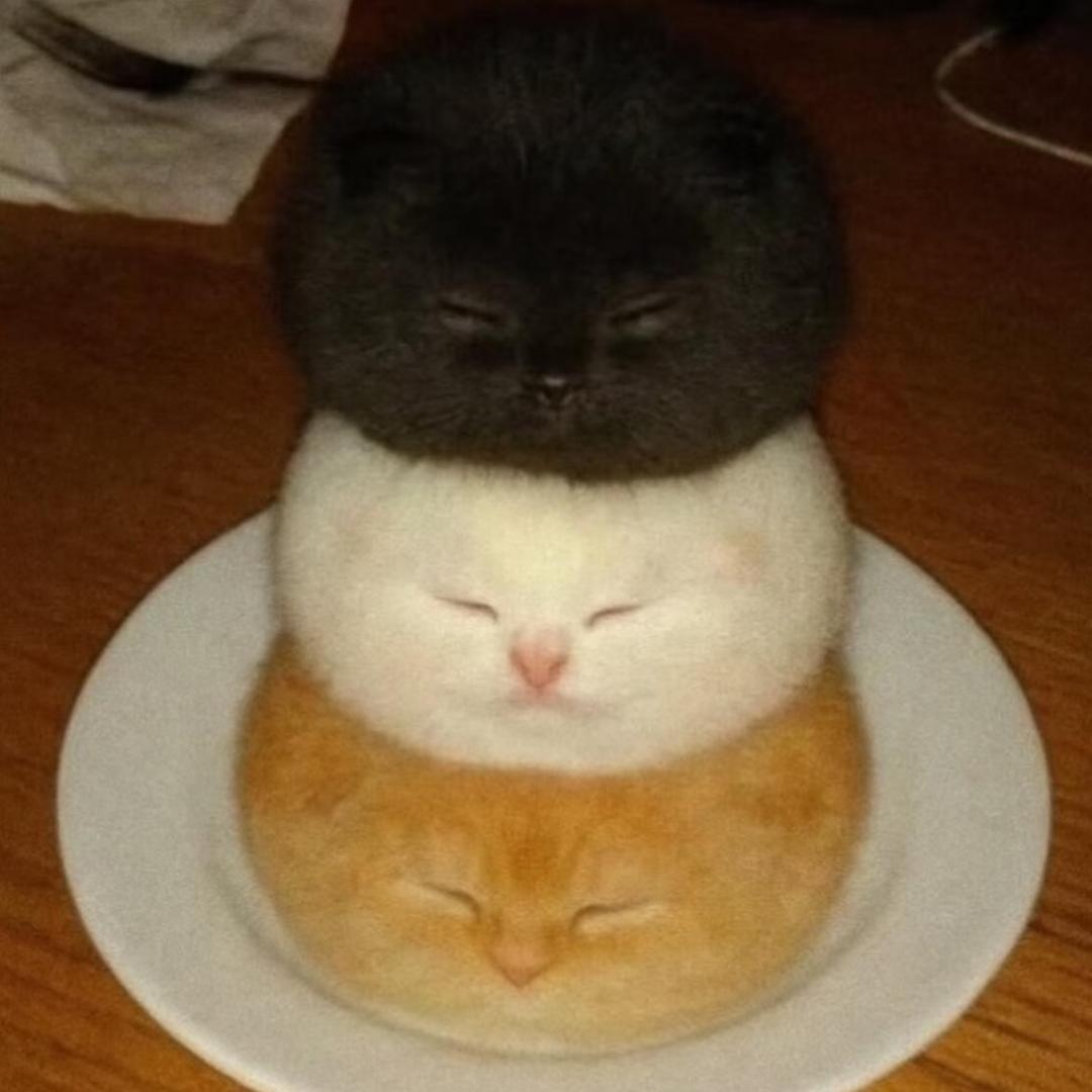 猫咪泡芙三层加厚版🍞