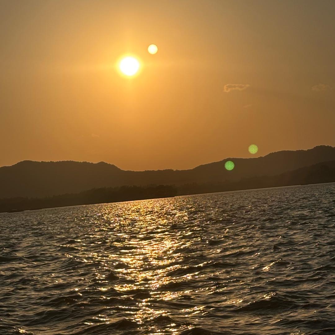 他（卷土重来）