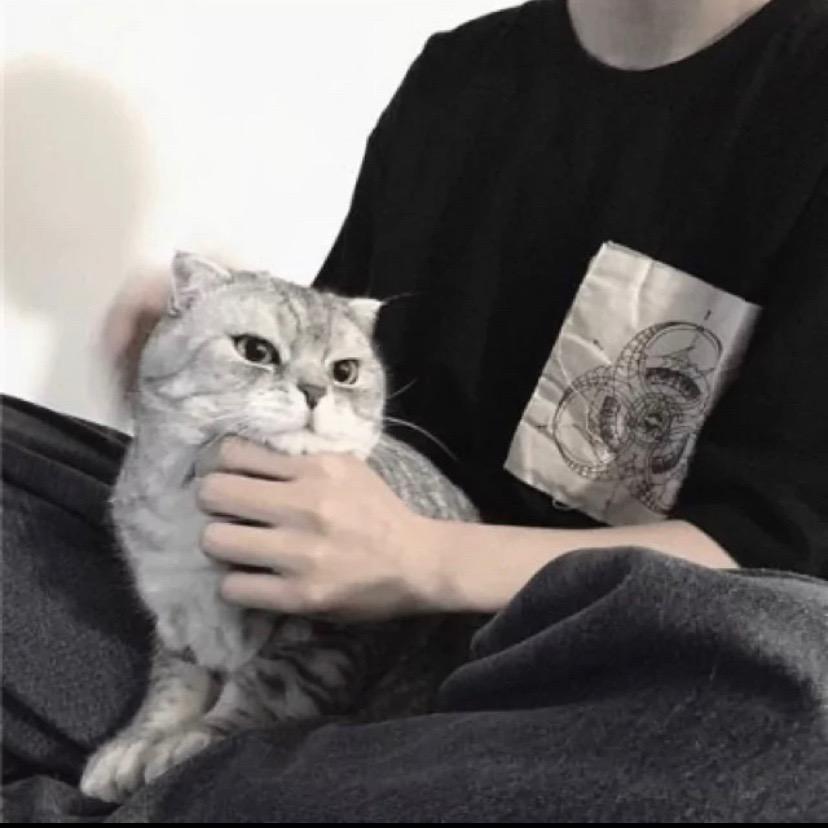 天意难为.