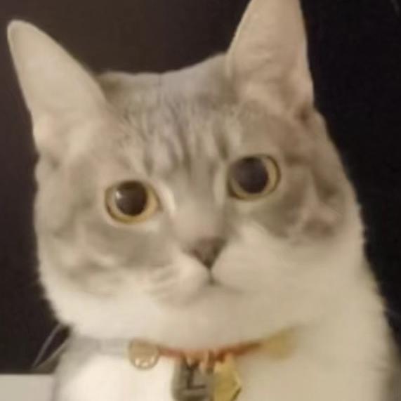 年糕糕