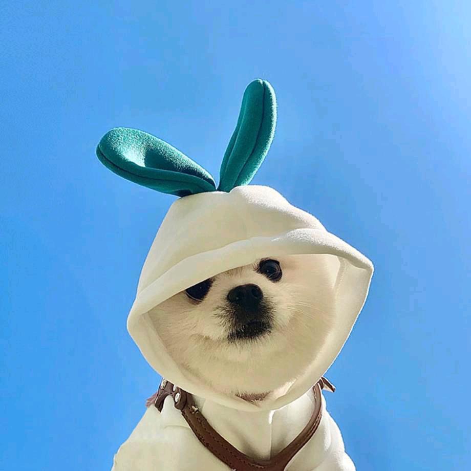 灞波儿奔