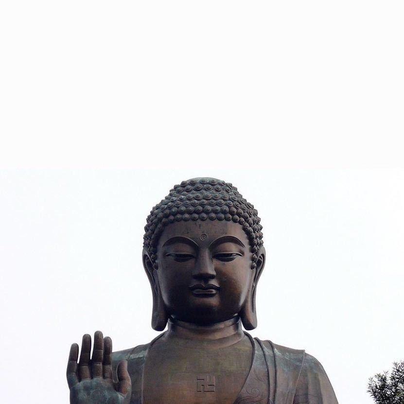 陈   康