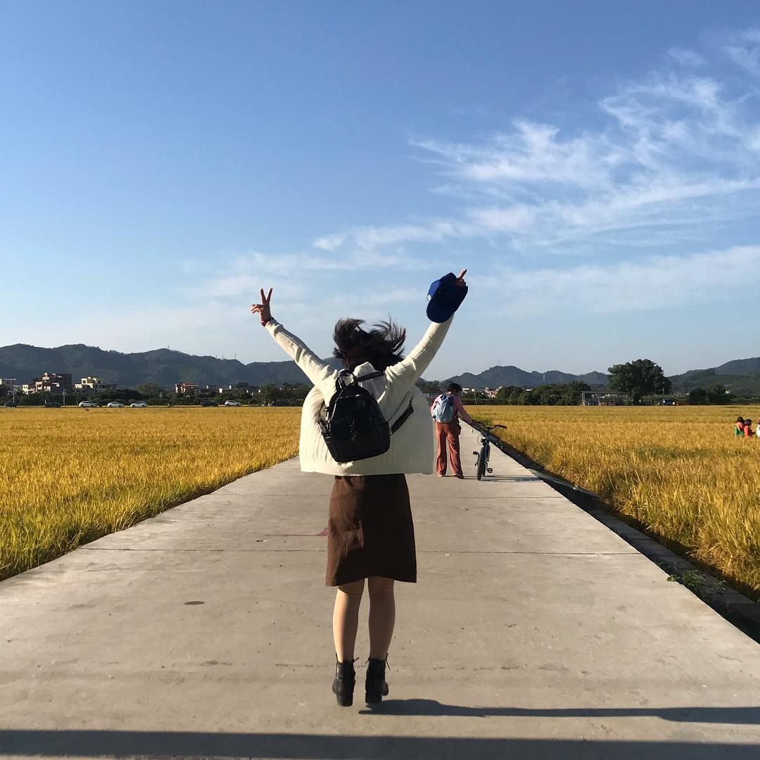 园丁丁