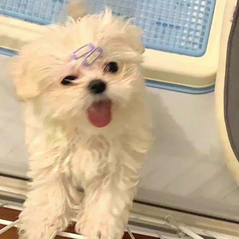 懒羊羊有超能力