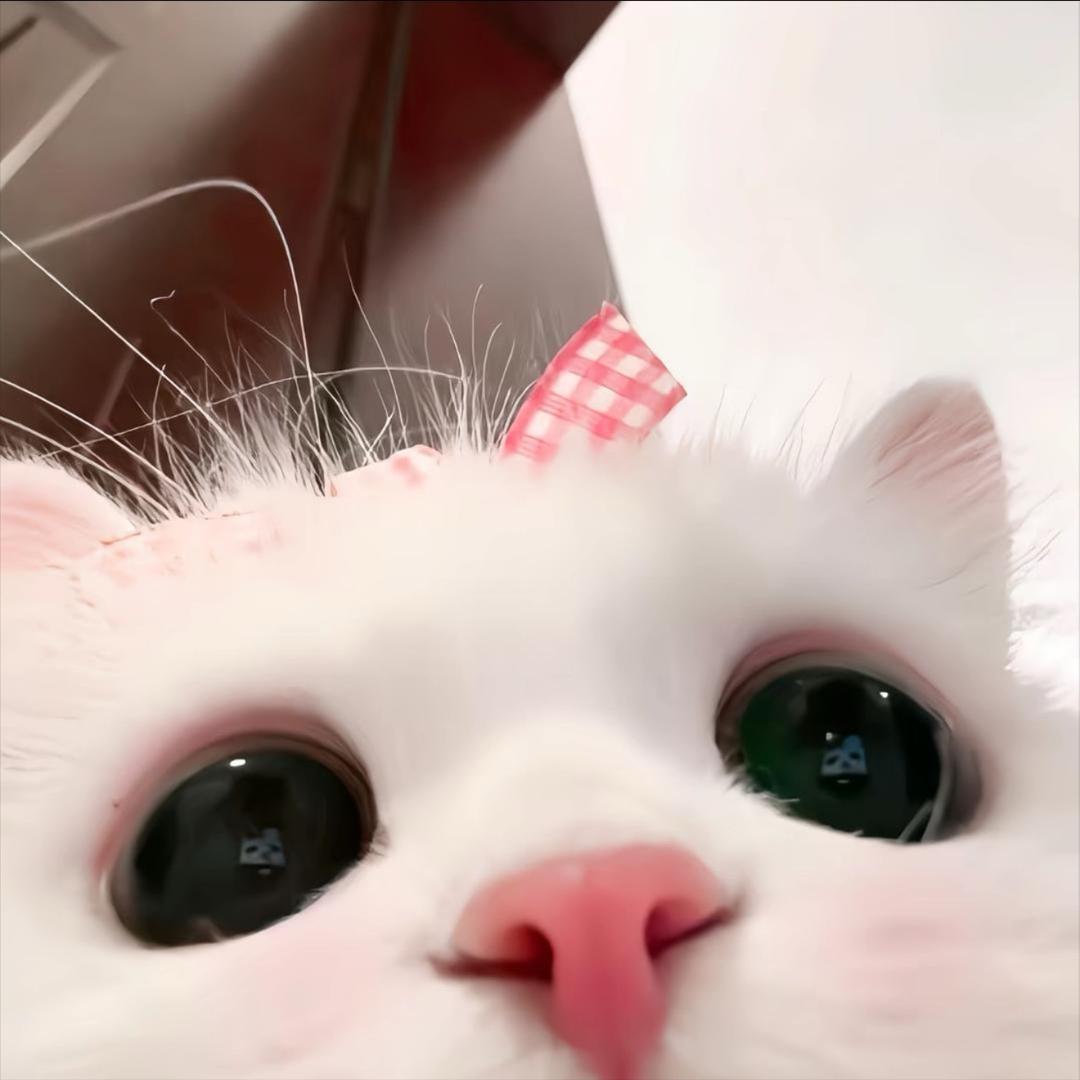 7평안
