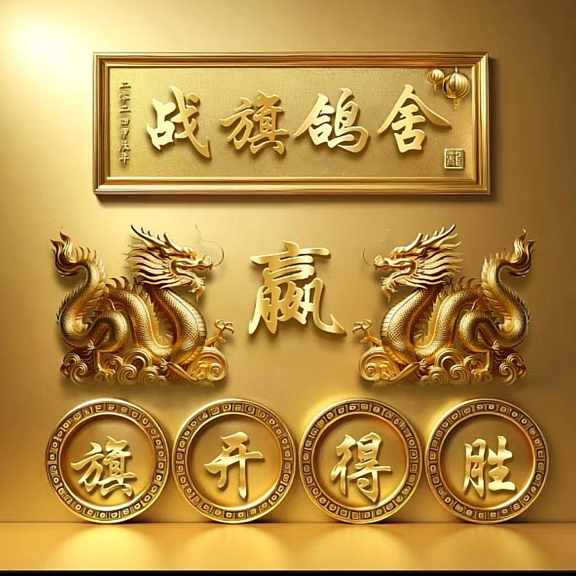 boys小阿琪（为荣誉而战）