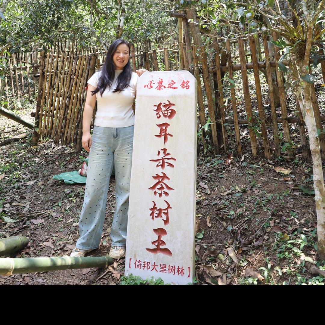 以茶之铭玉萍号 高端普洱茶