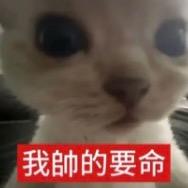 为他苦练蝰蛇