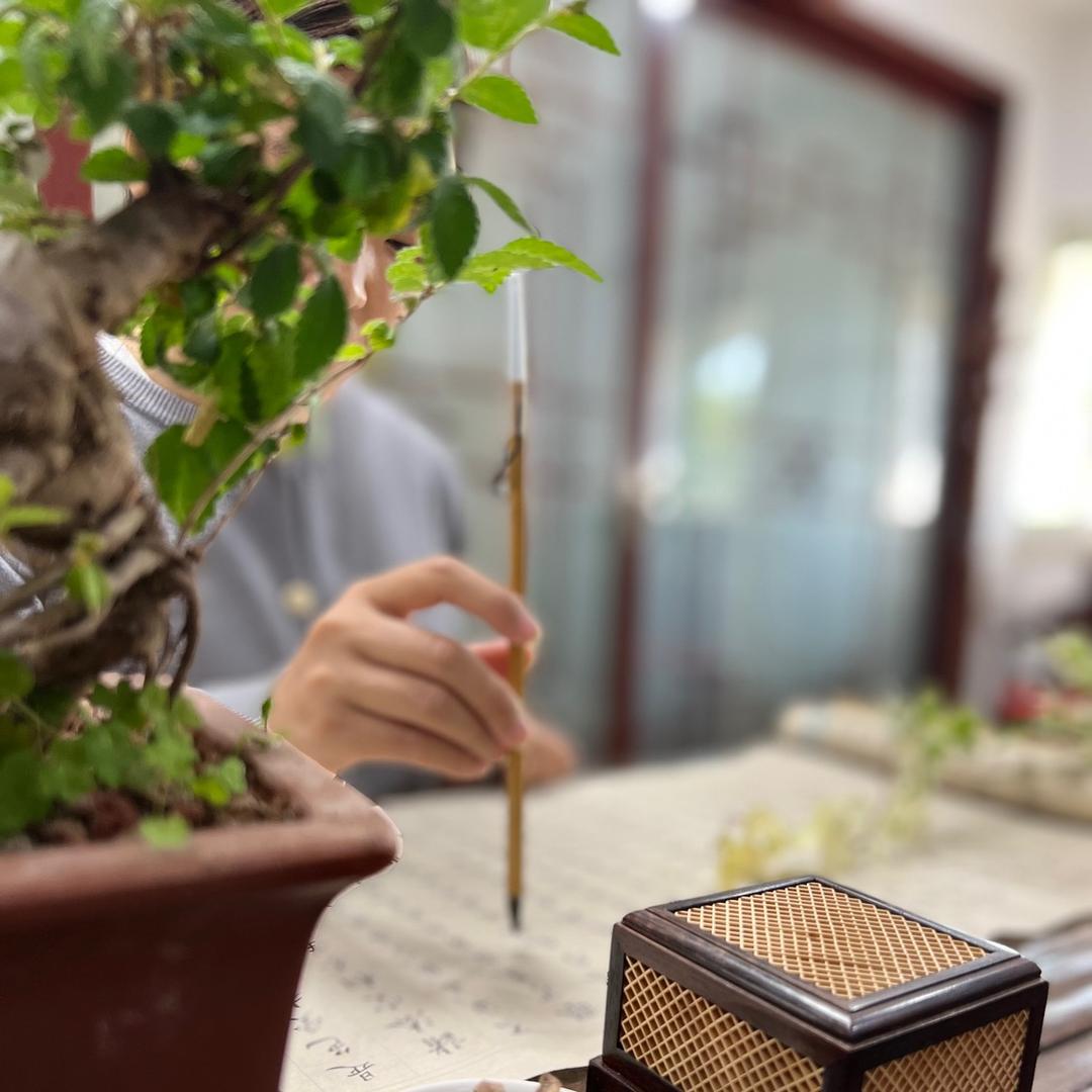 如果，这就是生活